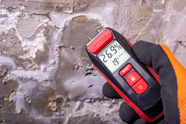Best Mold Remediation Services  in Nescopeck, PA