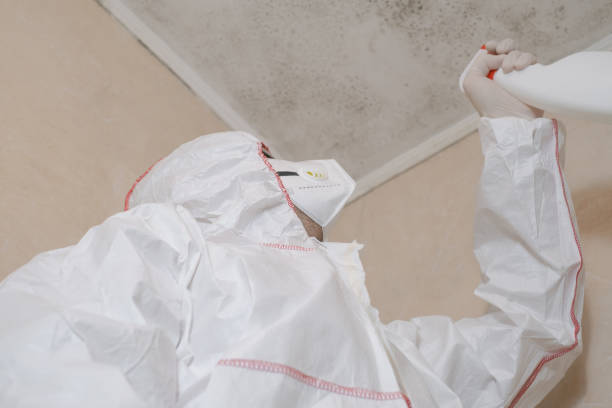 Best Toxic Mold Removal  in Nescopeck, PA